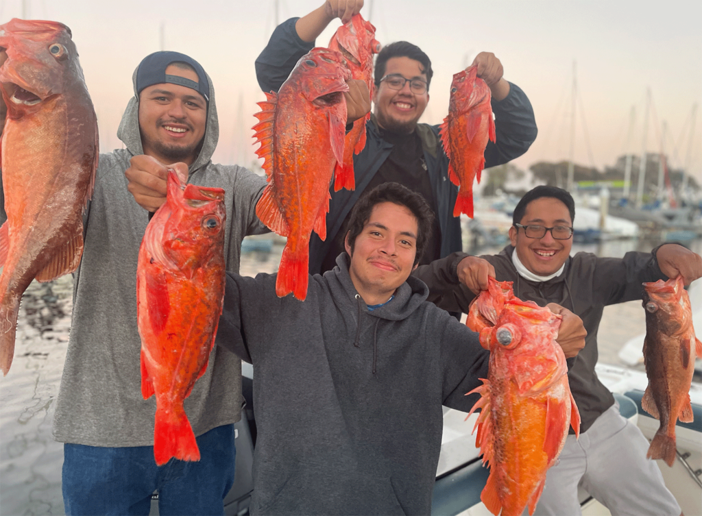 When Is Mackerel Season In California?