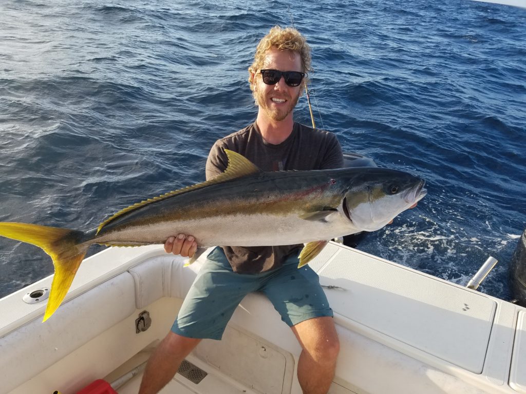 When Is Mackerel Season In California?