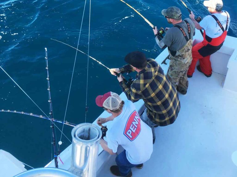 How to Go Bottom Fishing The Complete Guide (Updated 2023)