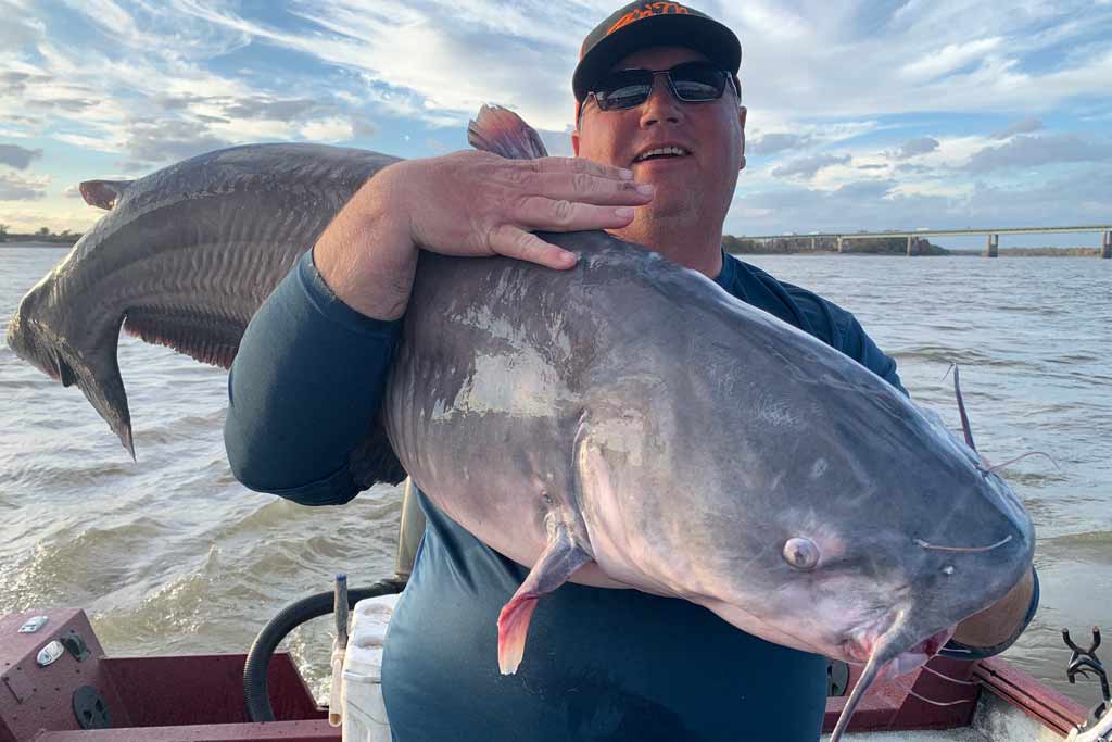 A man in a cap and sunglasses holding a big Catfish