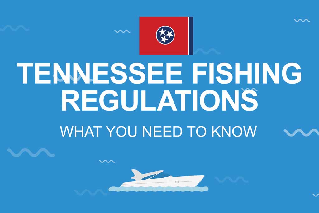 Tennessee Fishing The Complete Guide (Updated 2023)