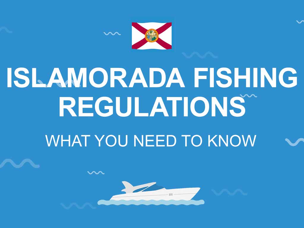 An Infographic showing the flag of Florida and "Islamorada fishing regulations" in white on a blue background