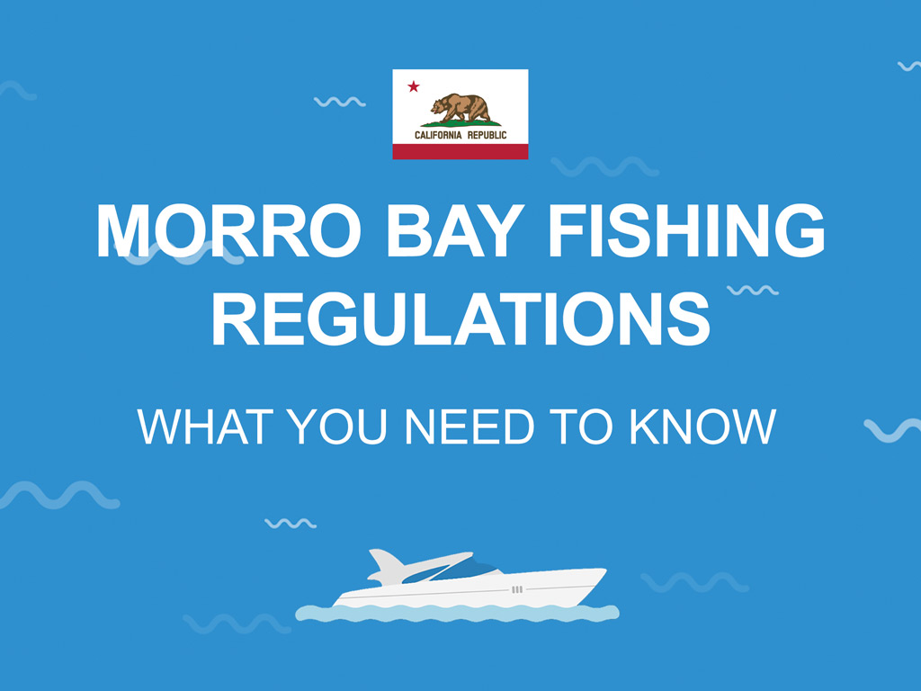 An infographic image that says "Morro Bay fishing regulations" and "What you need to know" against a blue background.