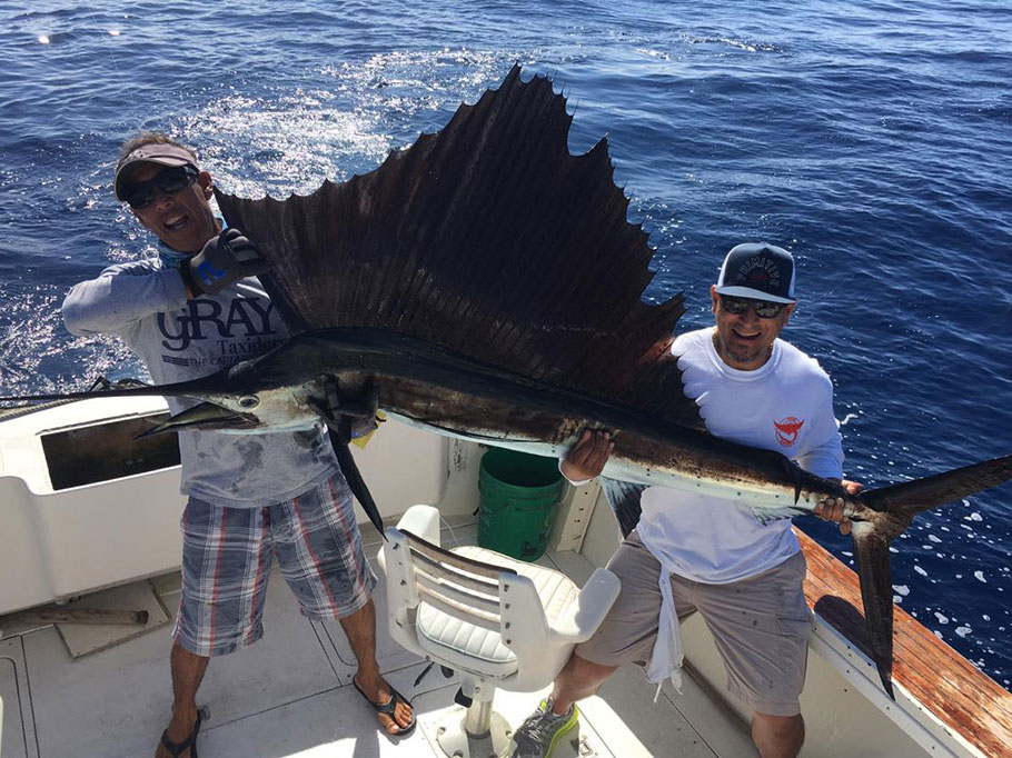 Two anglers hold a large Sailfish on a fishing charter in Cabo