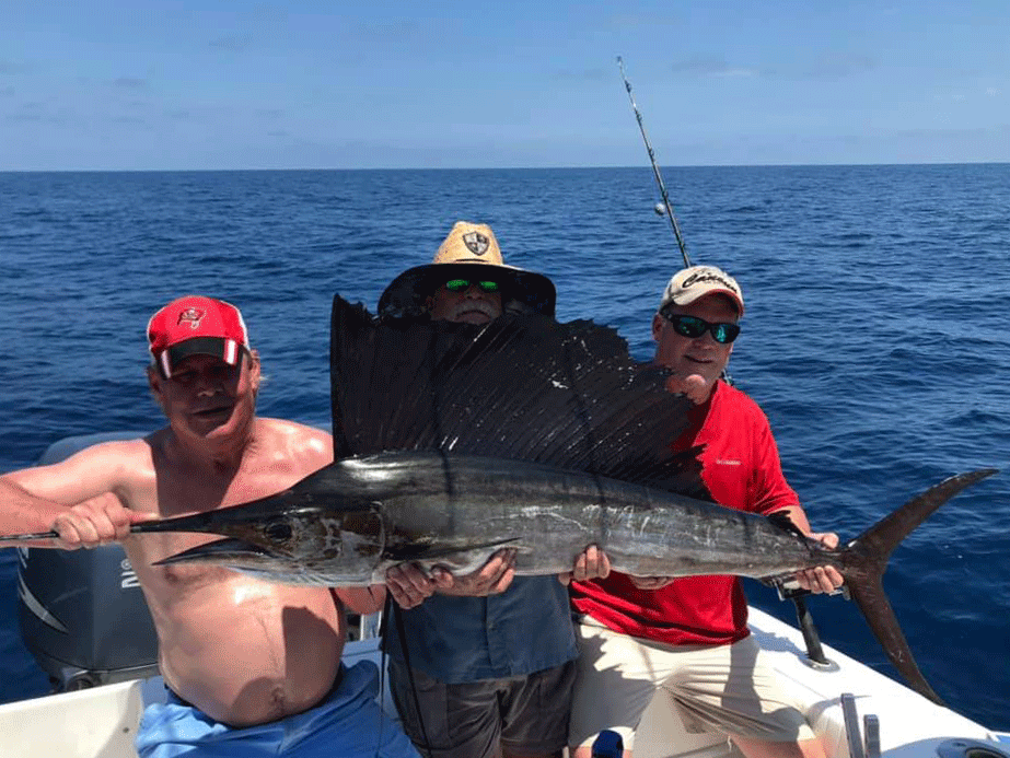 Three anglers holding Sailfish on a boat, fishing out of Sarasota, Florida