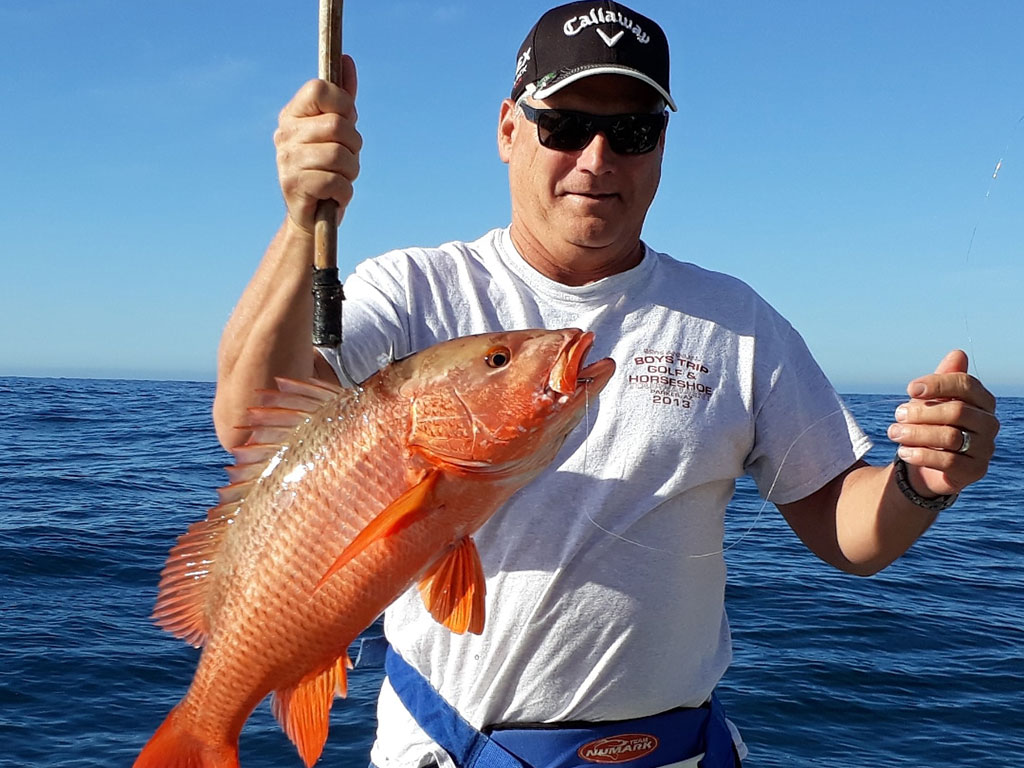 An angler on a boat on the ocean holds a Snapper he just caught