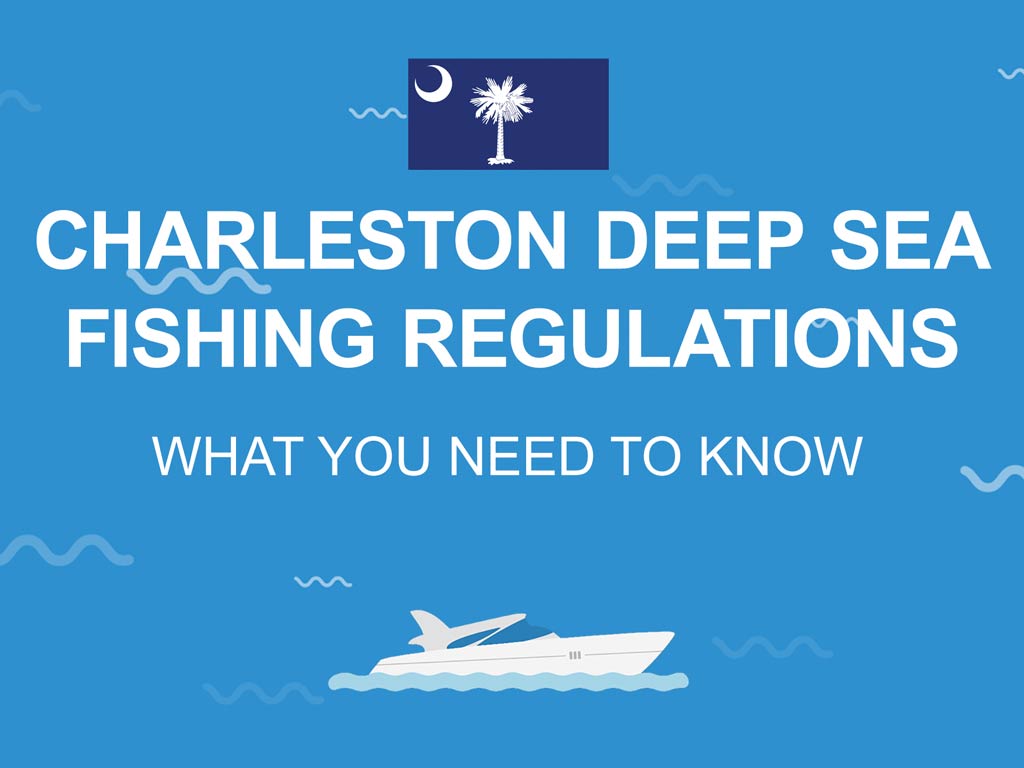 An infographic featuring the flag of South Carolina along with the text that says "Charleston deep sea fishing regulations what you need to know"