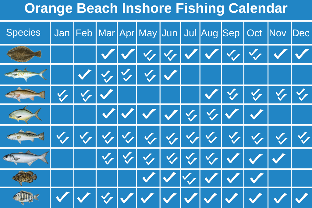 Orange Beach Inshore Fishing Calendar infographics with a list of top fish species and each month of the year.