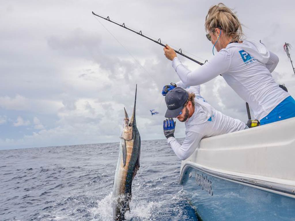 A side view of an angler and captain trying to pull a Sailfish out of the water