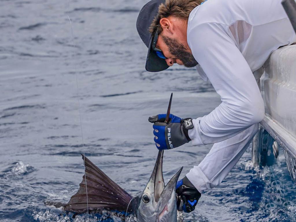 A side-on view of an angler trying to pull a Sailfish out of the water from a Charleston charter fishing boat