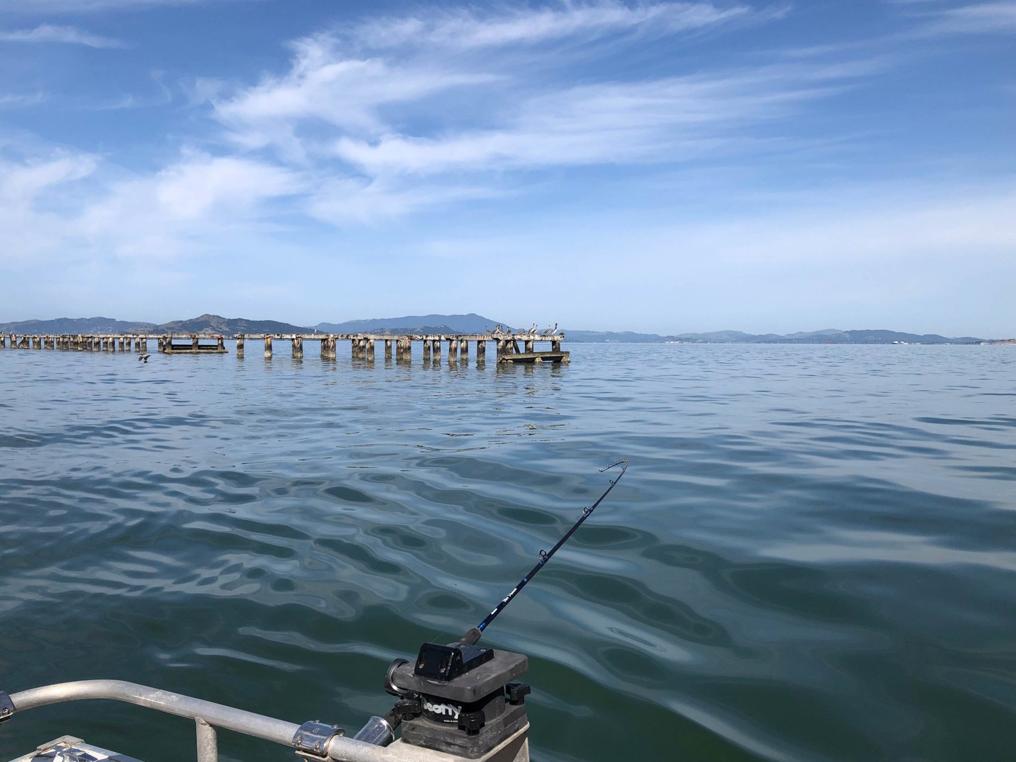 How to Fish for Halibut in San Francisco Bay The Complete Guide