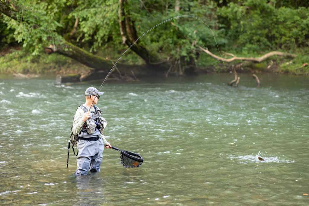 A fisherman in full fishing gear wading in a river in Shenandoah County, reeling in a fish he caught