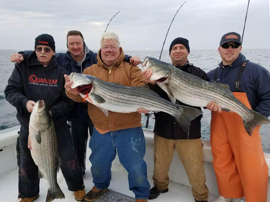 A group of five happy anglers all standing on a fishing boat in Cape May, NJ, three of them holding a freshly caught Striped Bass each.