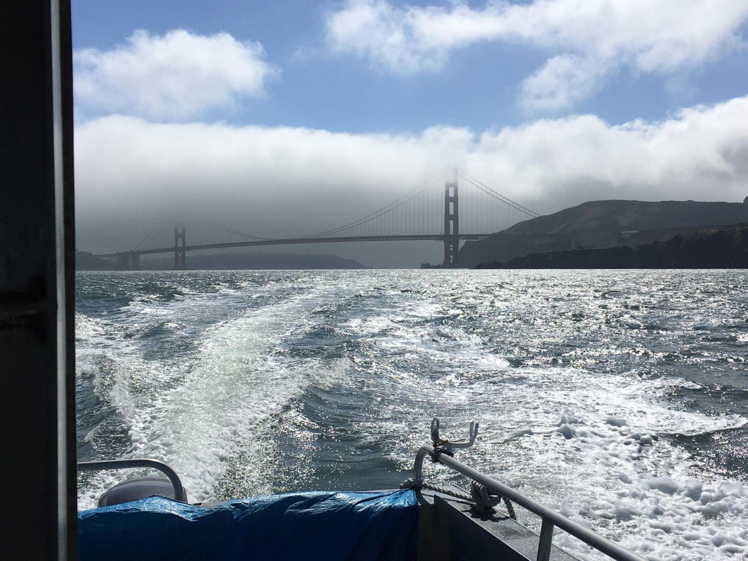 How to Fish for Halibut in San Francisco Bay The Complete Guide