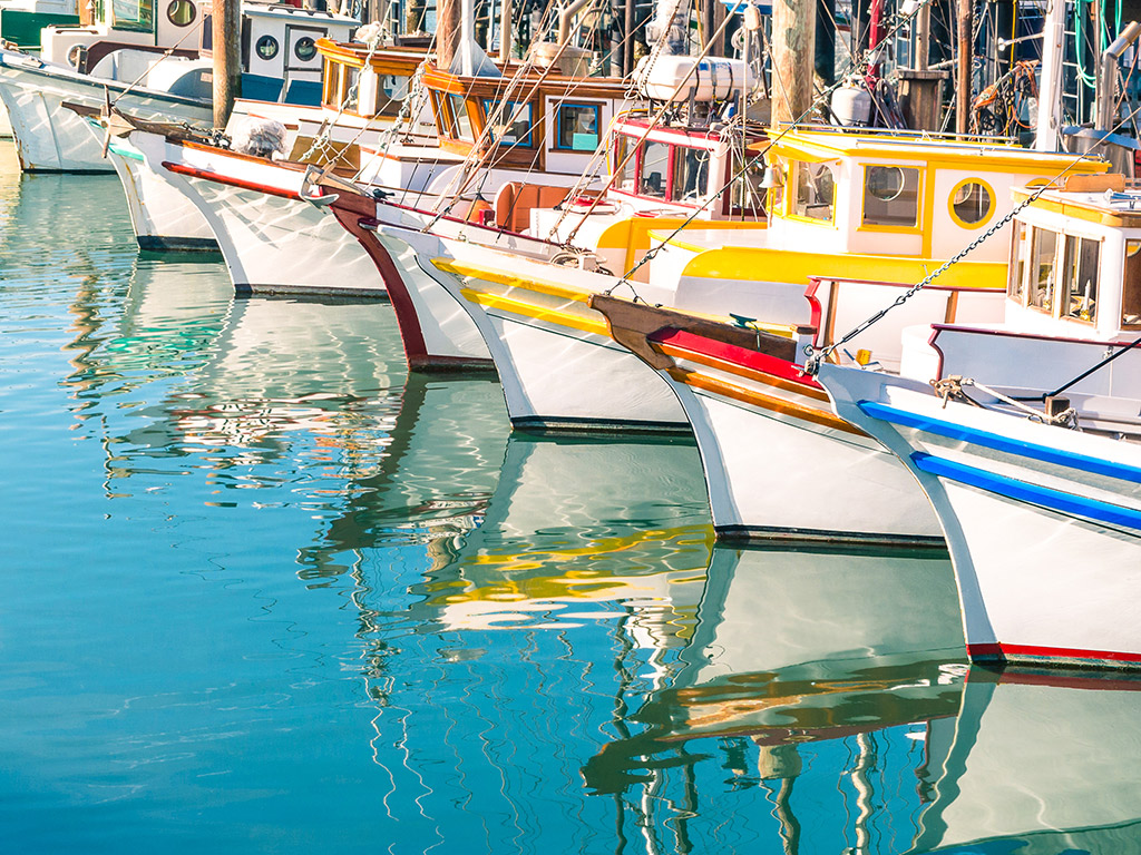 Colorful boats docked in a San Francisco harbor.