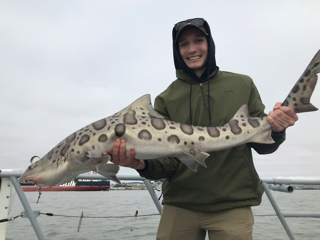 An angler holding a Leopard Shark he recently caught near San Francisco on a cloudy day.