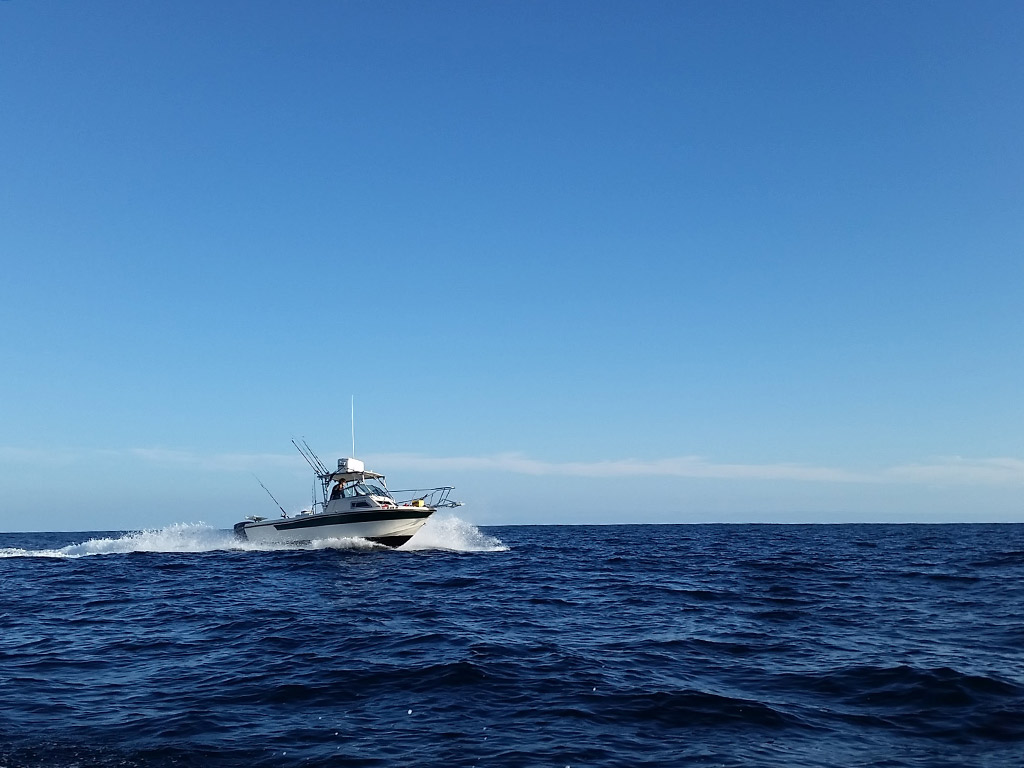 A boat on a trolling run in the Pacific, close to San Francisco