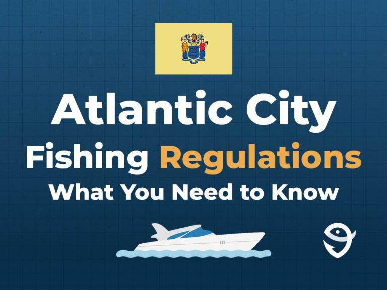 Fishing in Atlantic City The Complete Guide (Updated 2023)