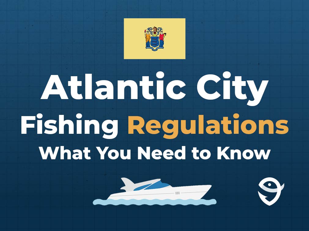 An infographic featuring New Jersey state flag and text that says "Atlantic City Fishing Regulations" and "What you need to know" against a blue background with a charter boat