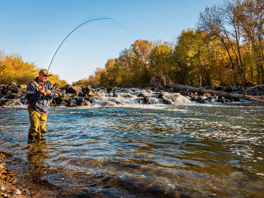 A man fishing in the shallow waters of the Boise River in the fall.