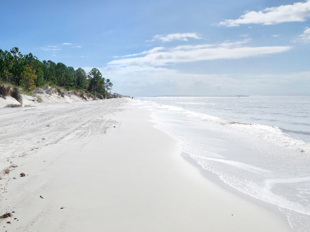 A photo of a pristine, white sand beach on Amelia Island.