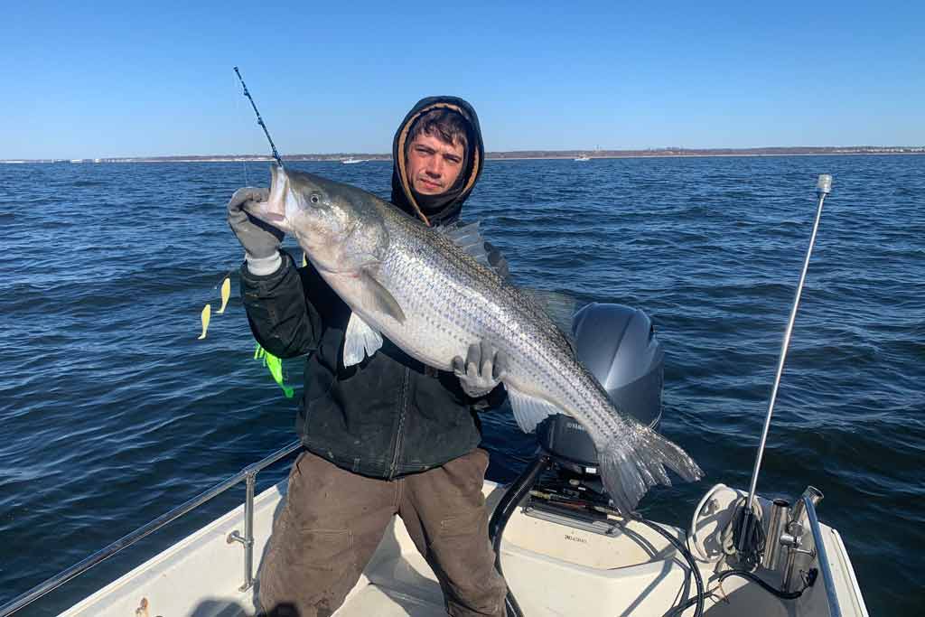 A fisherman in full winter equipment holding a Striped Bass, standing on a charter boat