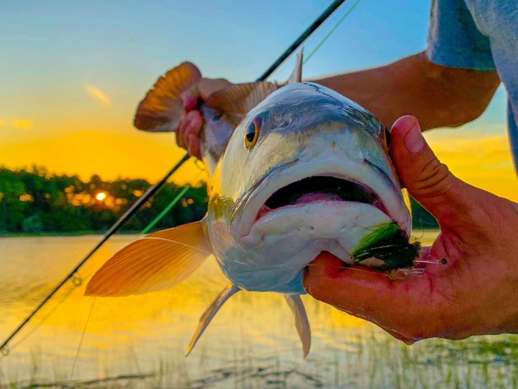 An amazing sunset shot of a Redfish caught while fly fishing inshore