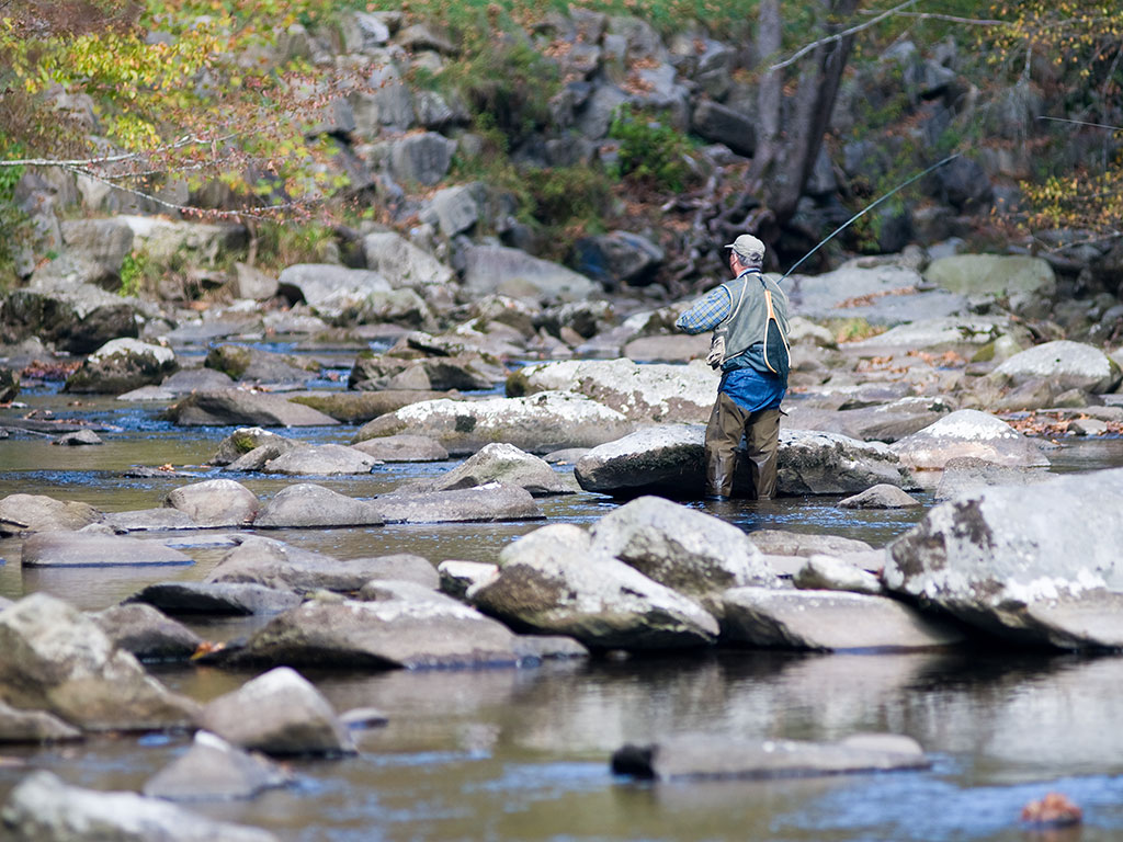 A fly angler casting a line in the shallow waters in the Great Smoky Mountains