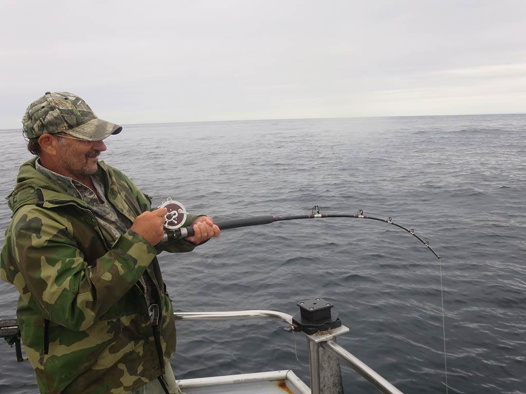 An angler holds a bending rod over the side of a fishing charter in Homer, AK