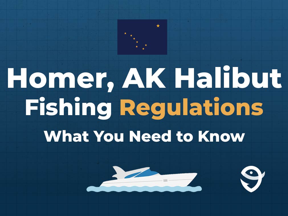 An infographic stating "Homer, AK, Halibut Fishing Regulations: What You Need to Know" with the Alaska state flag, a vector of a boat, and the FishingBooker logo against a blue background