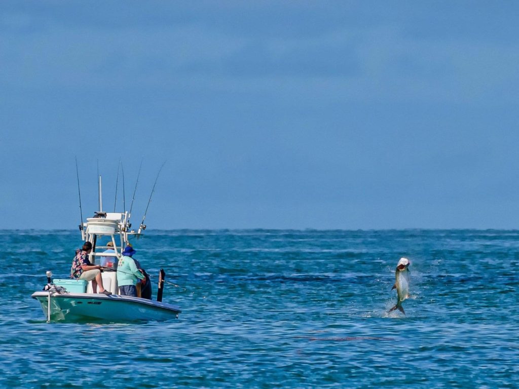 A fishing boat on the water in Key West, Florida, with a group of anglers observing a leaping Tarpon