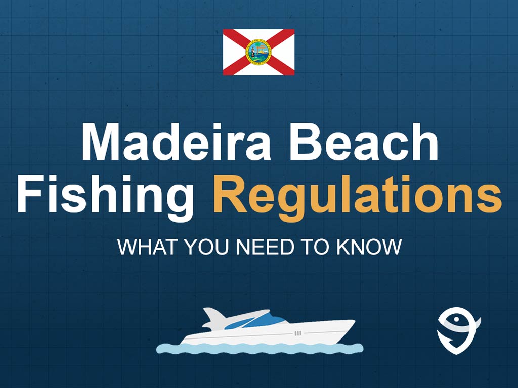 An infographic featuring the Florida state flag and text that says "Madeira Beach Fishing Regulations" and "What you need to know" against a blue background with a charter boat and the FishingBooker logo