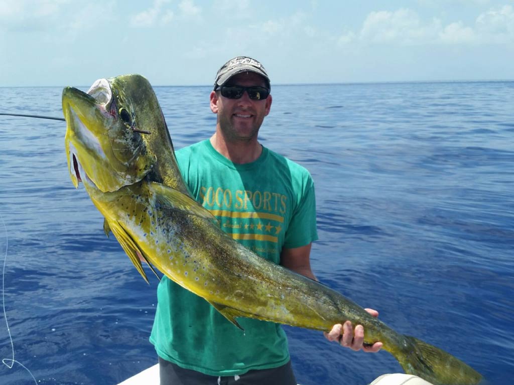 An angler standing on a charter boat and holding a big Mahi Mahi caught while fishing in the Gulf