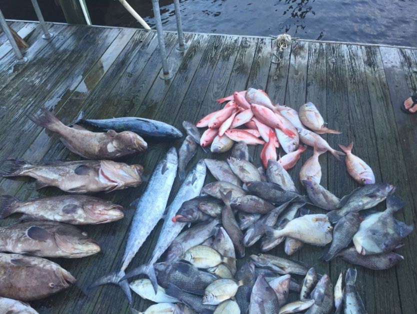 Various types of freshly caught fish, including small Snapper and Mackerel, on a wooden fishing pier or marina in North Myrtle Beach, South Carolina.