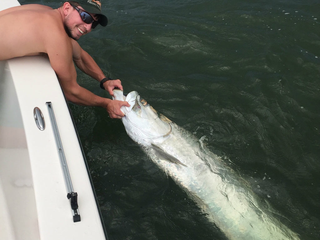 An angler leaning over the side of a boat, holding a huge Tarpon by its mouth in the water.