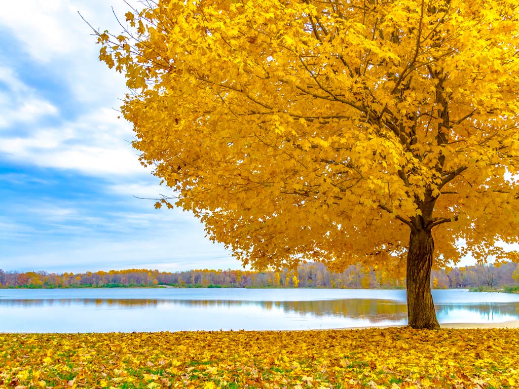 A view of Worster Lake at Potato Creek State Park in South Bend in fall