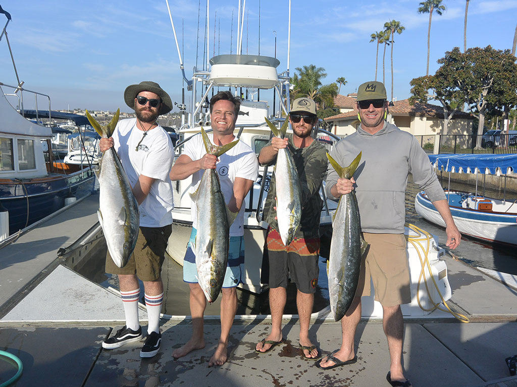 A group of anglers show off their Yellowtail Amberjacks on the dock after a successful fishing trip in Southern California