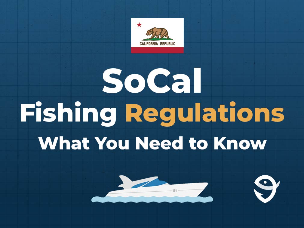 An infographic featuring text that says "SoCal Fishing Regulations" and "All You Need to Know" in white text on a blue background, with the California state flag, a vector of a boat, and the FishingBooker logo