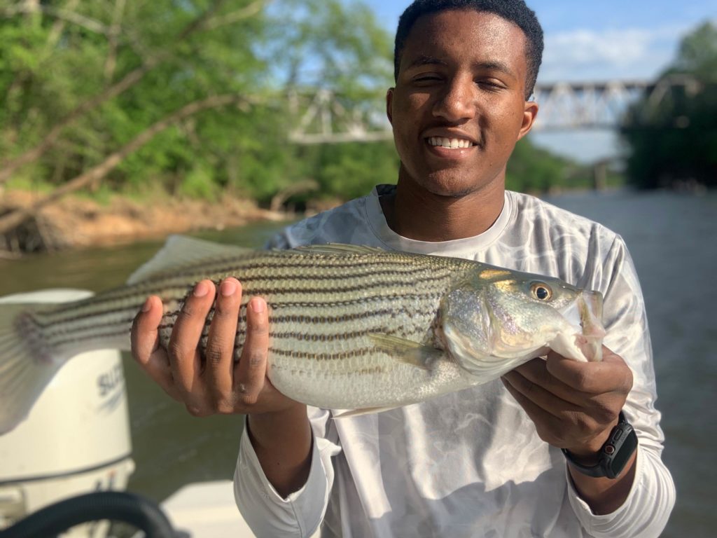 An angler holding a Bass caught in Cape Fear River.