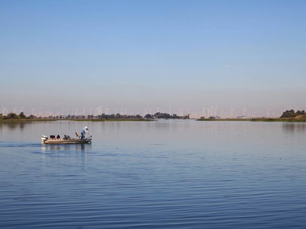 A distant view of an angler looking for a catch while fishing in the California Delta’s Big Break Shoreline Regional Park