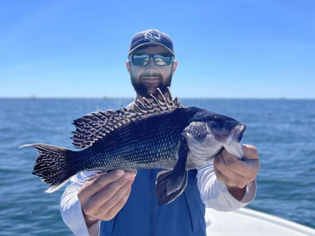 An excellent shot of a proud angler showing off his Black Seabass catch with both hands