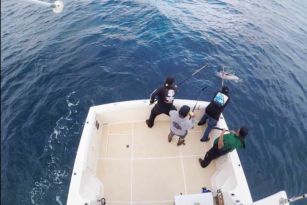 Four fisherman standing in the corner of a boat, one of them is reeling in a Tuna