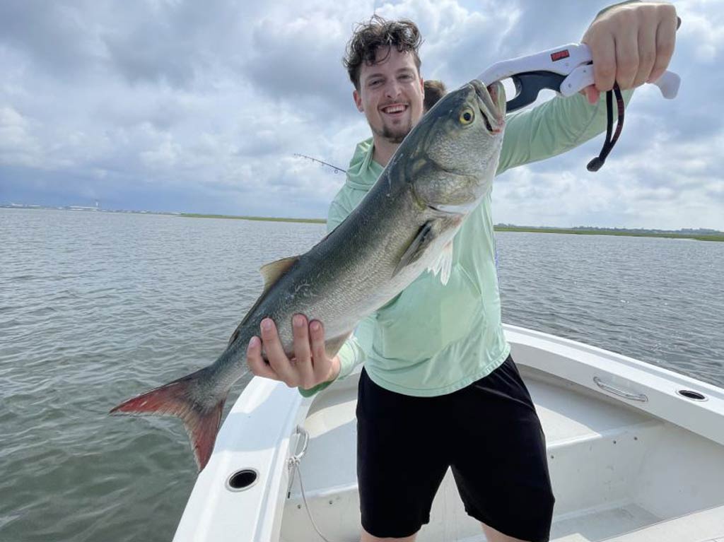 A photo of an angler standing on a NYC charter fishing boat and holding big Bluefish with both hands