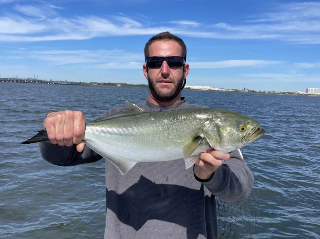 An angler in sunglasses holding a Bluefish with the water behind him