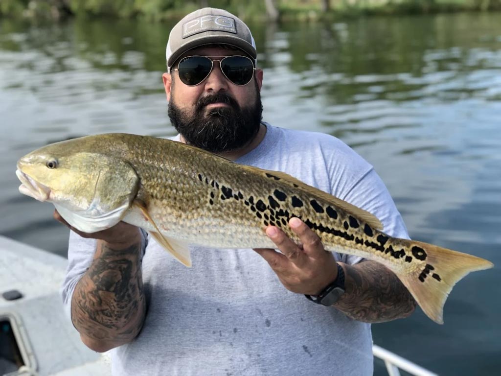 A man holding up a beautifully spotted Redfish.