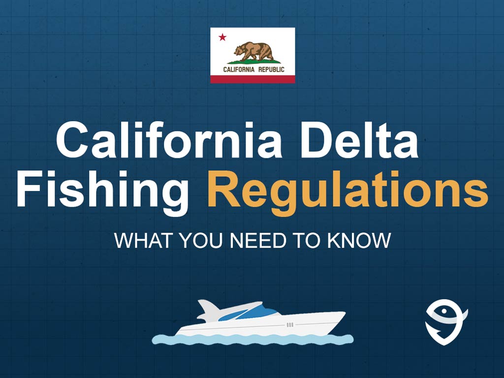 An infographic featuring the state flag of California and the title "California Delta Fishing Regulations" and text below it that says "what you need to know."