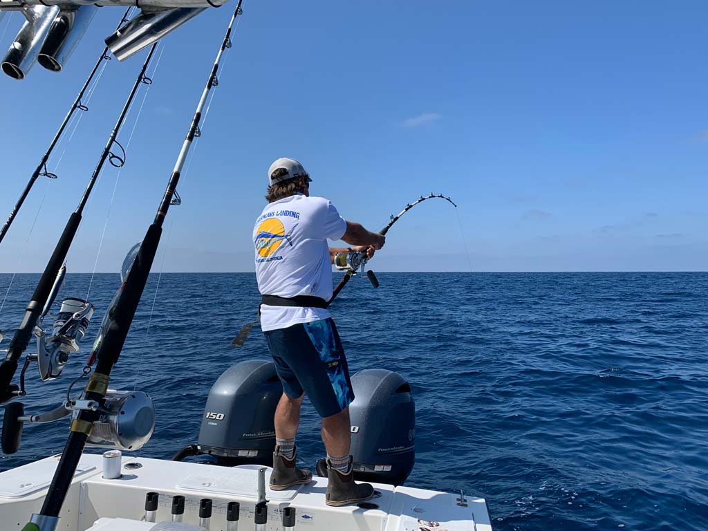 An angler battling a fish on the aft of a charter boat.