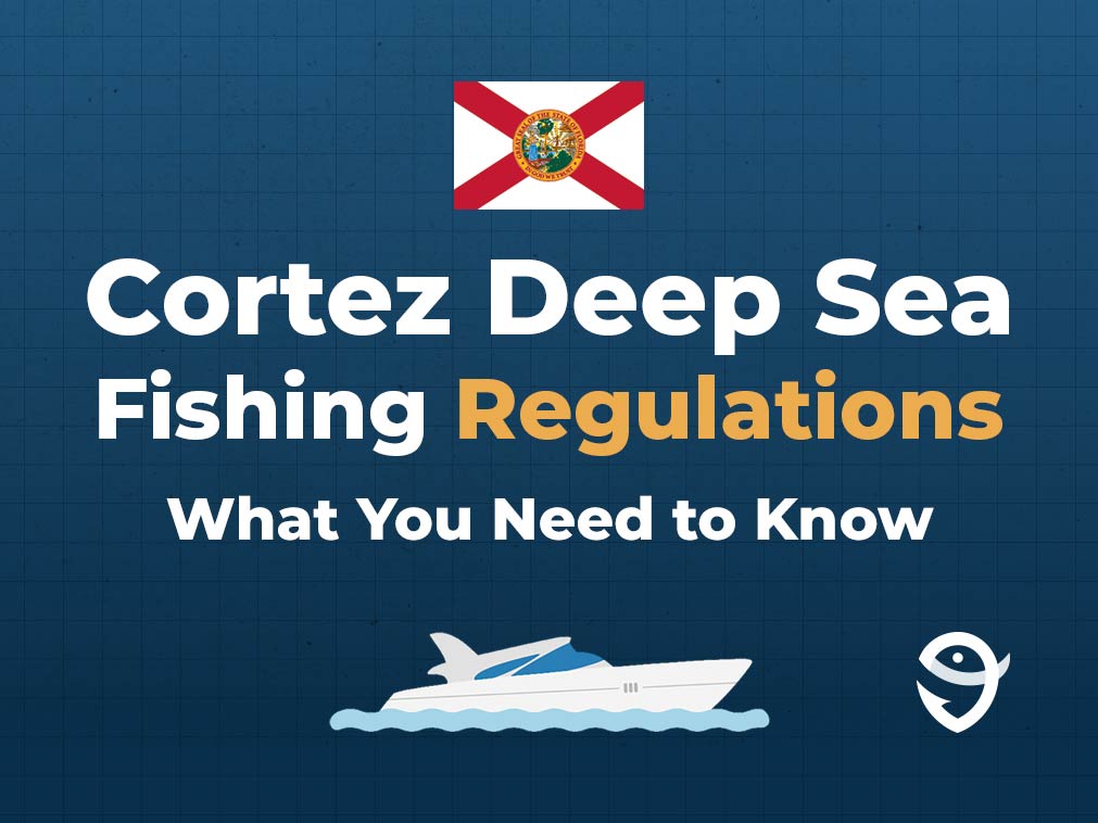 An infographic with the Florida state flag, a vector of a boat, and text stating "Cortez Deep Sea Fishing Regulations: What You Need to Know" against a blue background