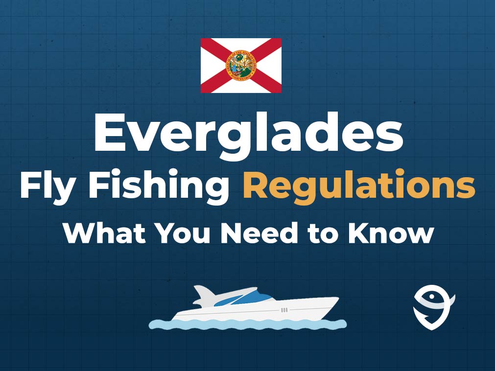 An infographic stating "Everglades Fly Fishing Regulations: What You Need to Know" with a vector of a boat and the Florida state flag against a blue background