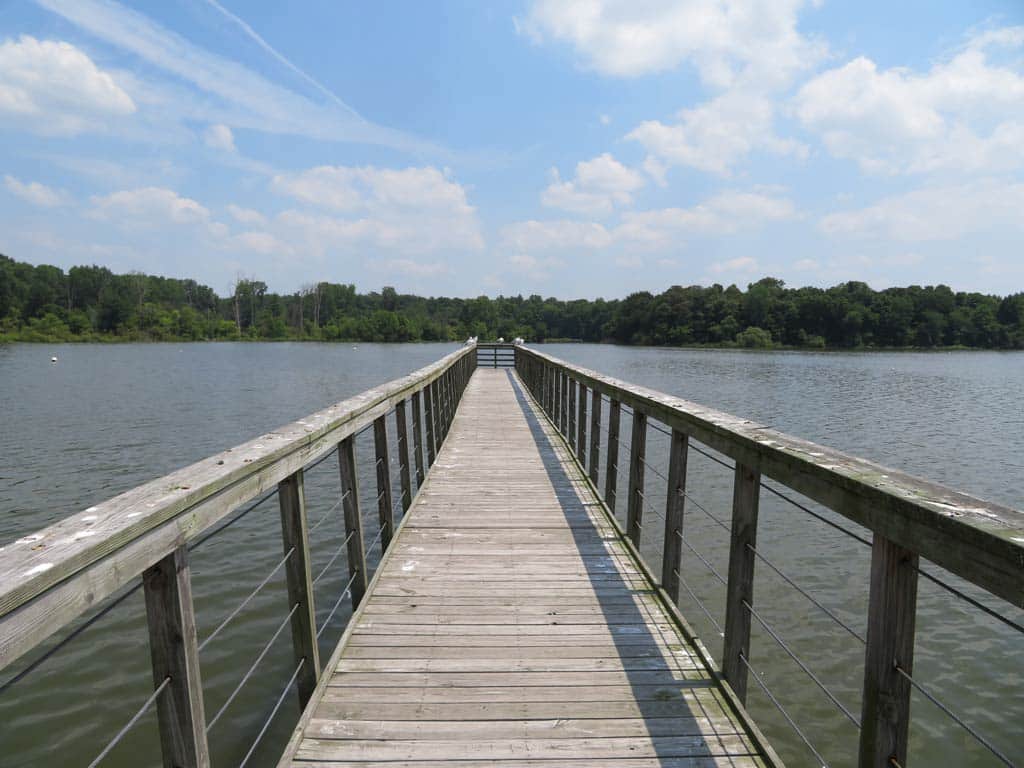 A photo of a long empty wooden fishing pier on a river with a distant view of greenery, blue skies, and white clouds